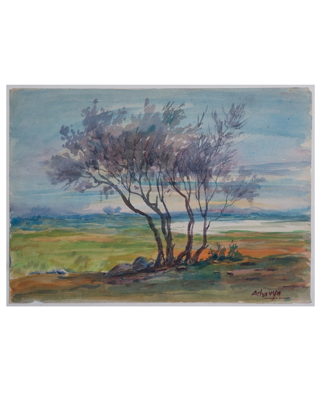 Windblown Trees by the Backwaters